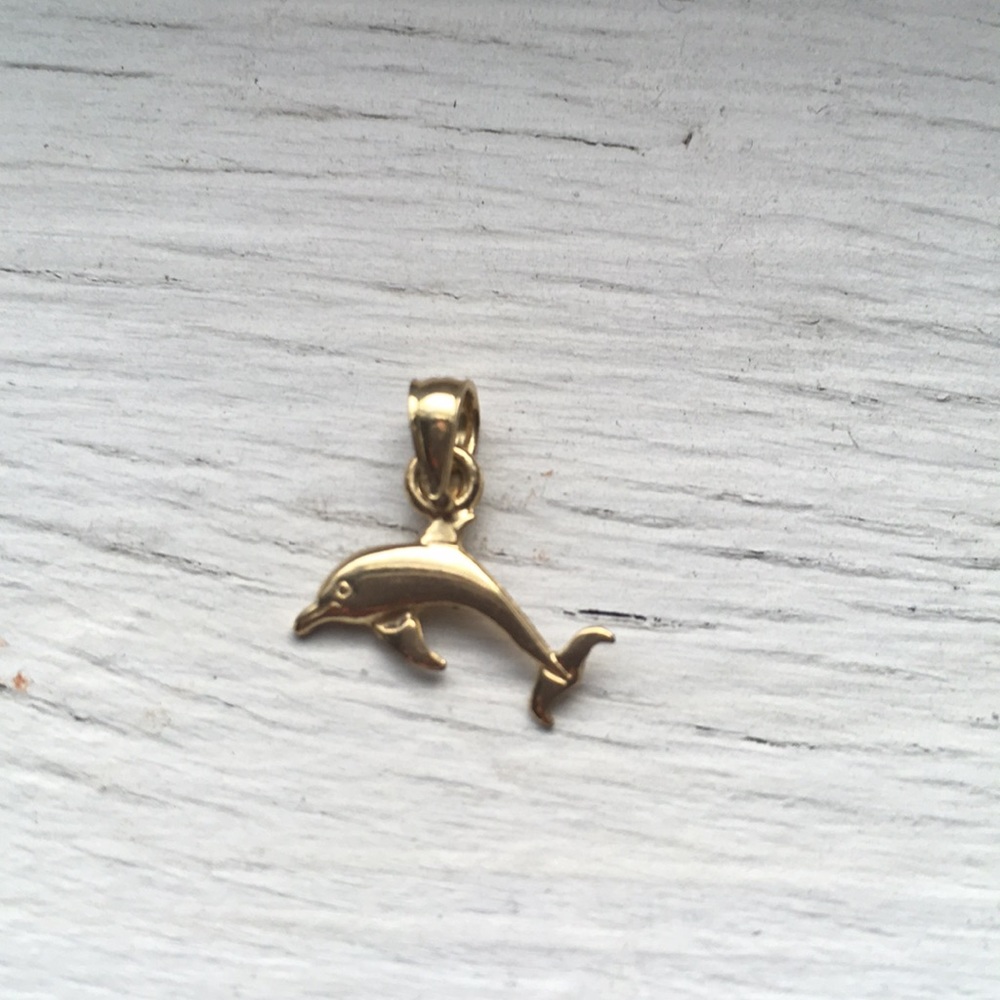 Gold Dolphin Charm